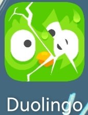 RuinaCentrina's tweet image. remember to do your daily duolingo if not it will look at you just like it looks at me #workhardstudyhard #duolingopleasedontcomeforme