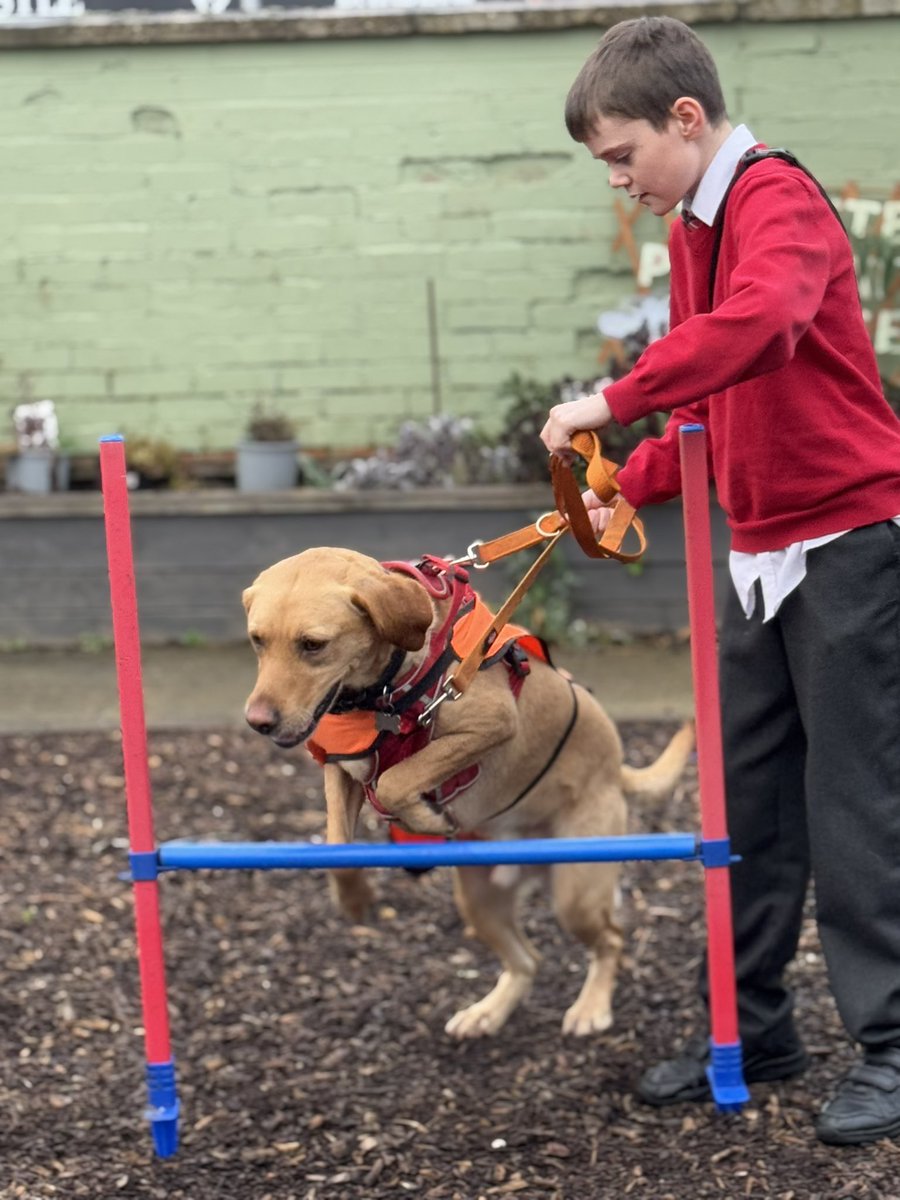 SparksTheDogMentorSPAG tweet media