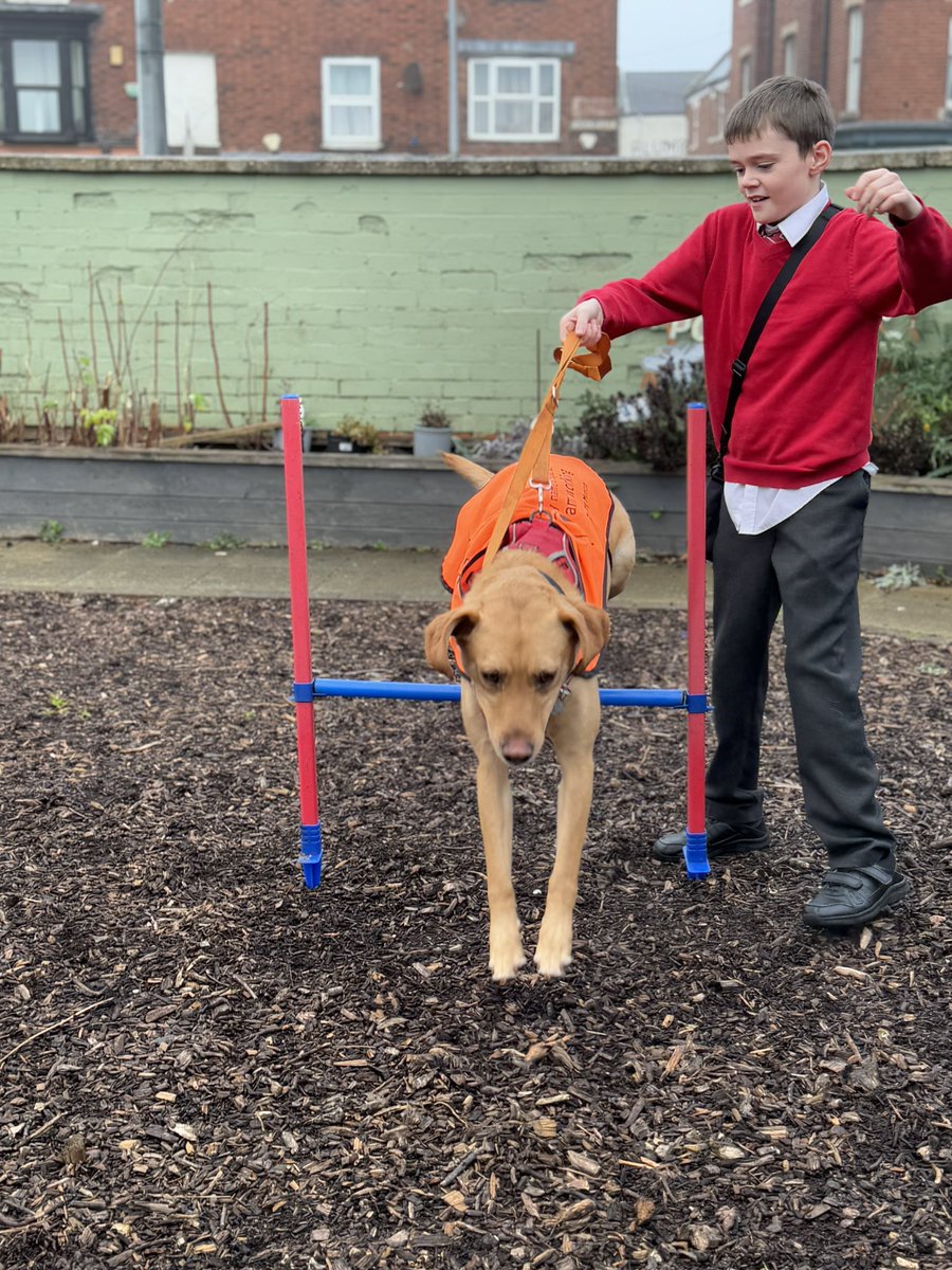 SparksTheDogMentorSPAG tweet media