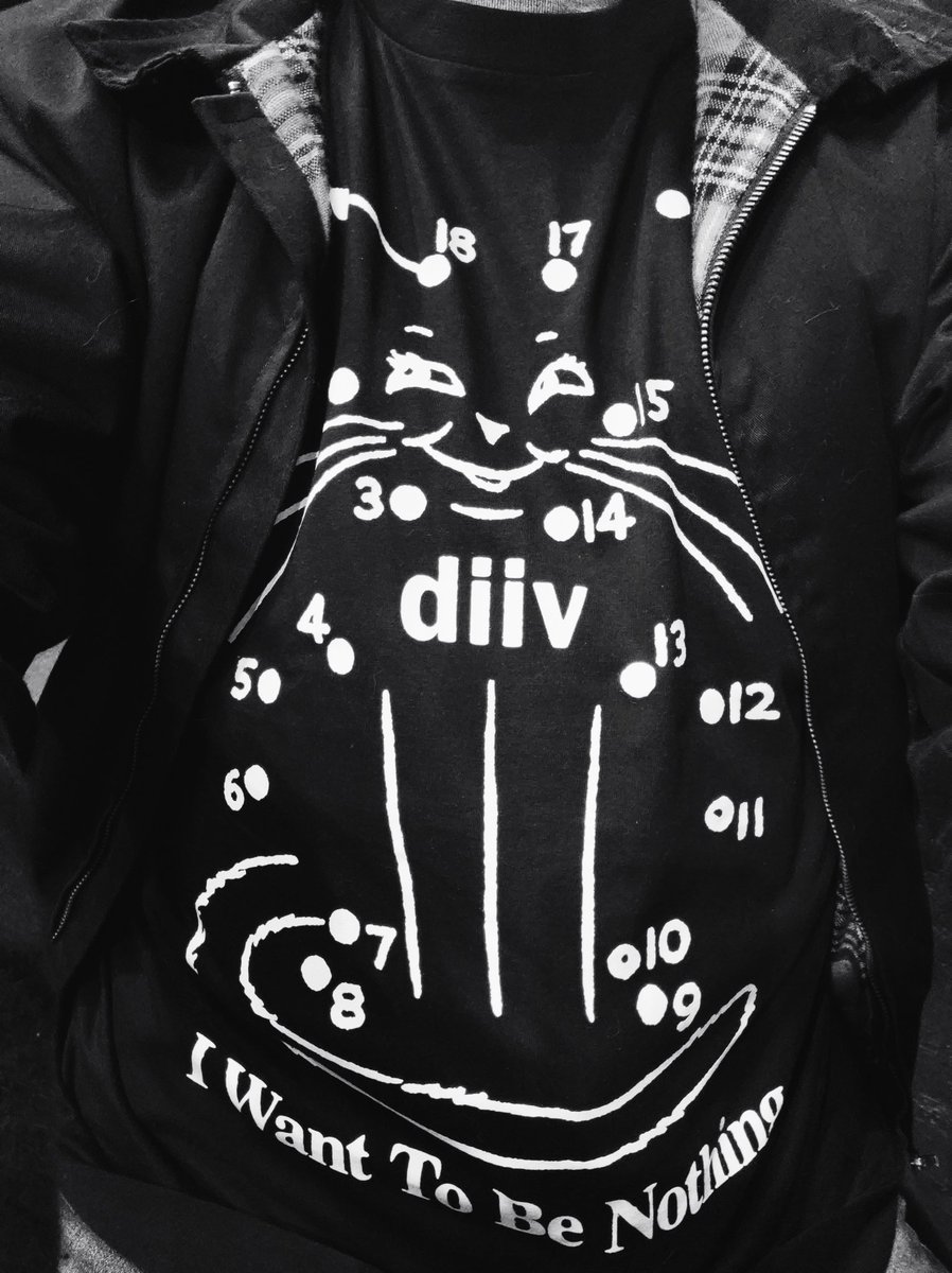 rahrahrazpouh's tweet image. #DIIV #ANTIPODE #Rennes