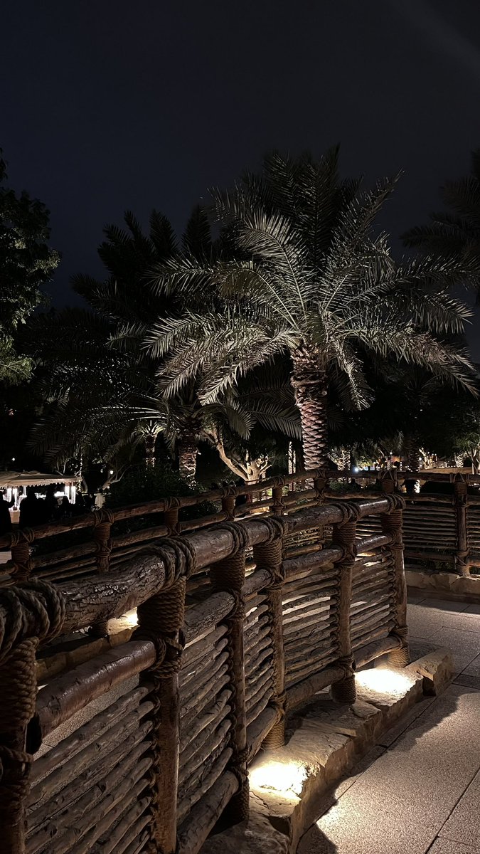 aaa00ber00's tweet photo. 🌴🪵 https://t.co/8cDzkudC4Q