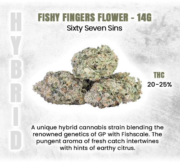 Social_GrandCan's tweet photo. *Informational Purposes*
#FishyFingers #SixtySevenSins #CannabisConnoisseur #PremiumStrain #CannabisCulture #ExoticFlavors #THCExperience #HighQualityCannabis #IndicaVibes #FlavorfulHigh #PotentStrain #SmokingExperience #CannabisLife #GanjaLovers #UniqueStrains #GrandCannabis https://t.co/J5DqSVQuuM