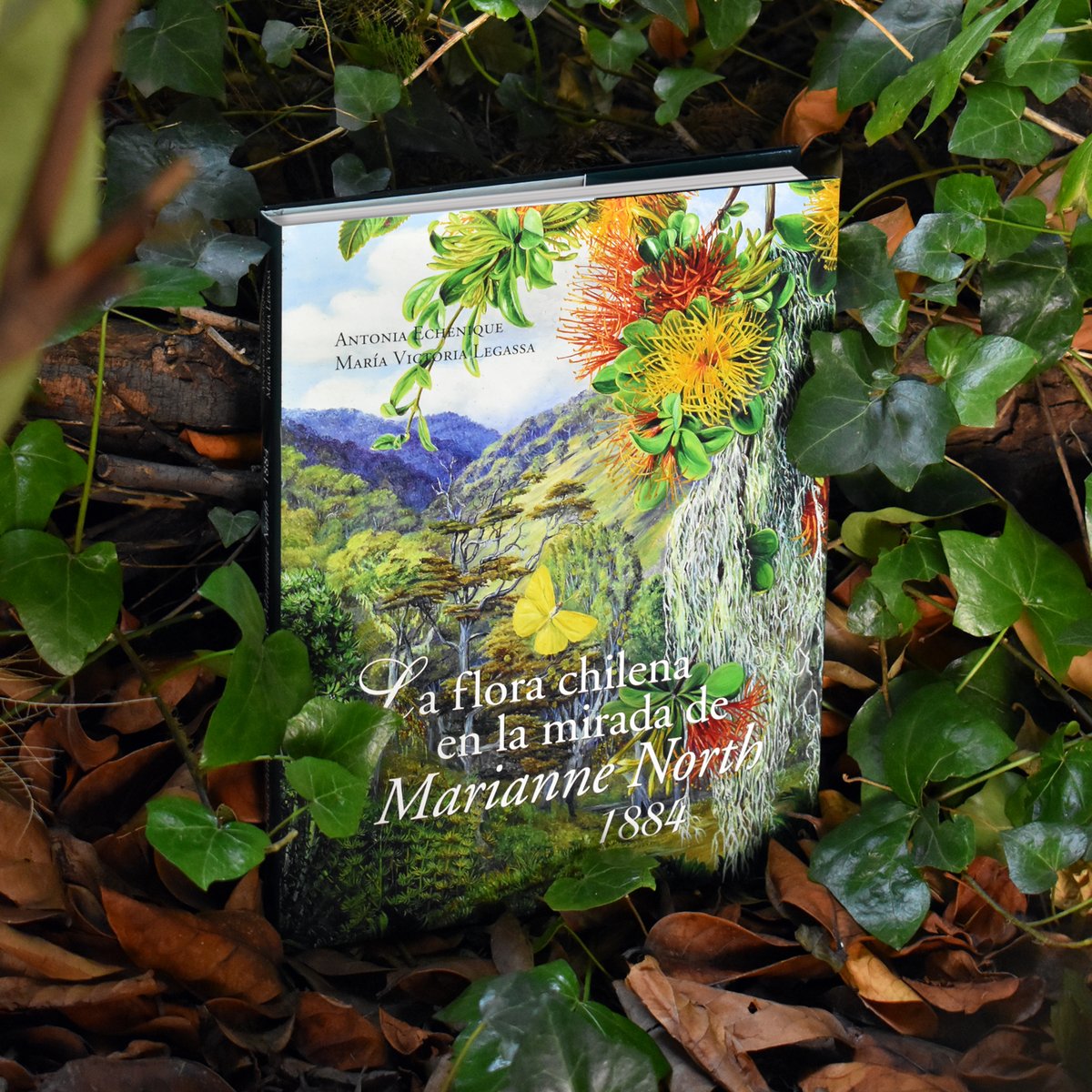 Libro Verde tweet media