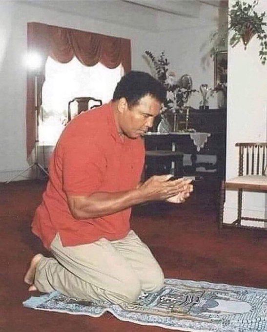 Halal Nation ֎ tweet media