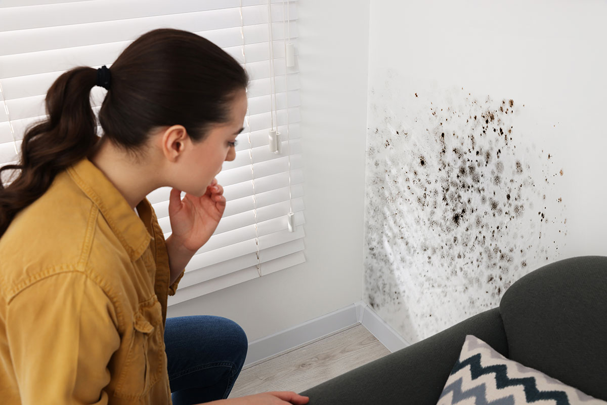 AparisClimat's tweet photo. ⚠️ Les moisissures dans un logement sont néfastes pour la santé et touchent de nombreux ménages en situation de #PrécaritéÉnergétique.

Le dispositif SLIME est là pour les accompagner.

📞 Vous connaissez des personnes concernées ? 

Contactez-nous : https://t.co/0ZYCn6dhQZ https://t.co/IDW36Pj11u