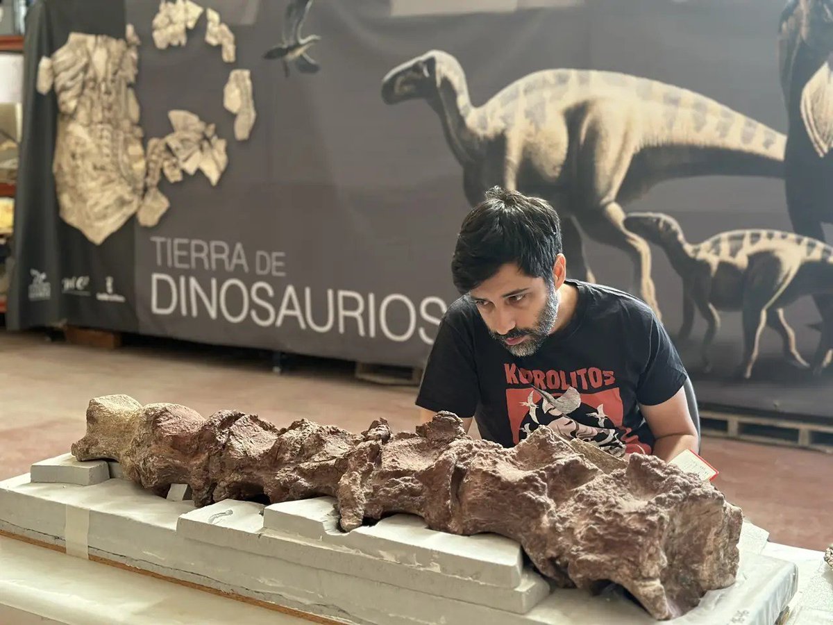 PD_Mocho's tweet photo. Para aqueles que possam estar interessados aqui fica a segunda parte da entrevista que tive a oportunidade de dar à  @NatGeo  #Portugal. Desta vez falamos um pouco de #Qunkasaura e do Cretácico Superior da Península Ibérica. 
https://t.co/6eaF3bz40x https://t.co/h2GHojbQl7