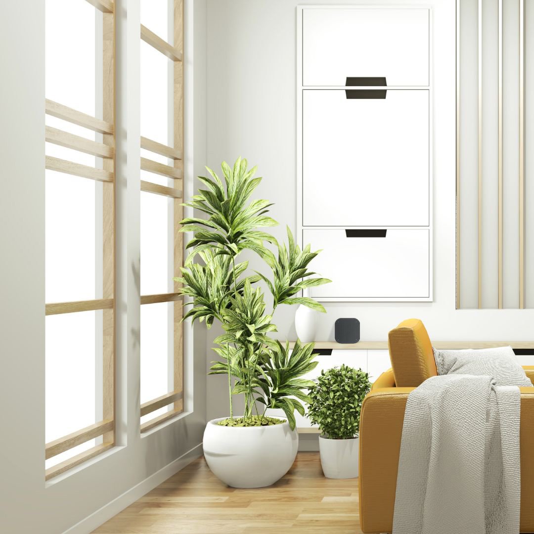 Imagine streaming your favorite podcasts, audiobooks, and music all across your home with Dio.

#AudioAnywhere #NoBluetoothNeeded #DioSpeakers