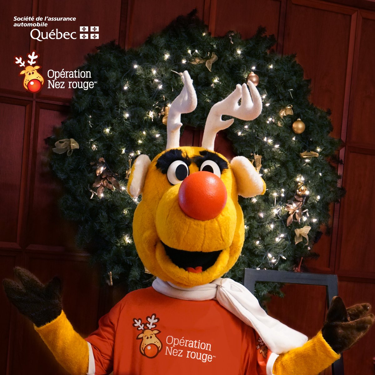L'Opération Nez rouge est ravie de s'associer une année de plus, à la <a href="/SAAQ/">SAAQ</a> ! 🤩

Votre soutien constant au fil des années nous permet de réussir notre légendaire campagne de raccompagnement durant la saison des fêtes 🚗🫶. MERCI!