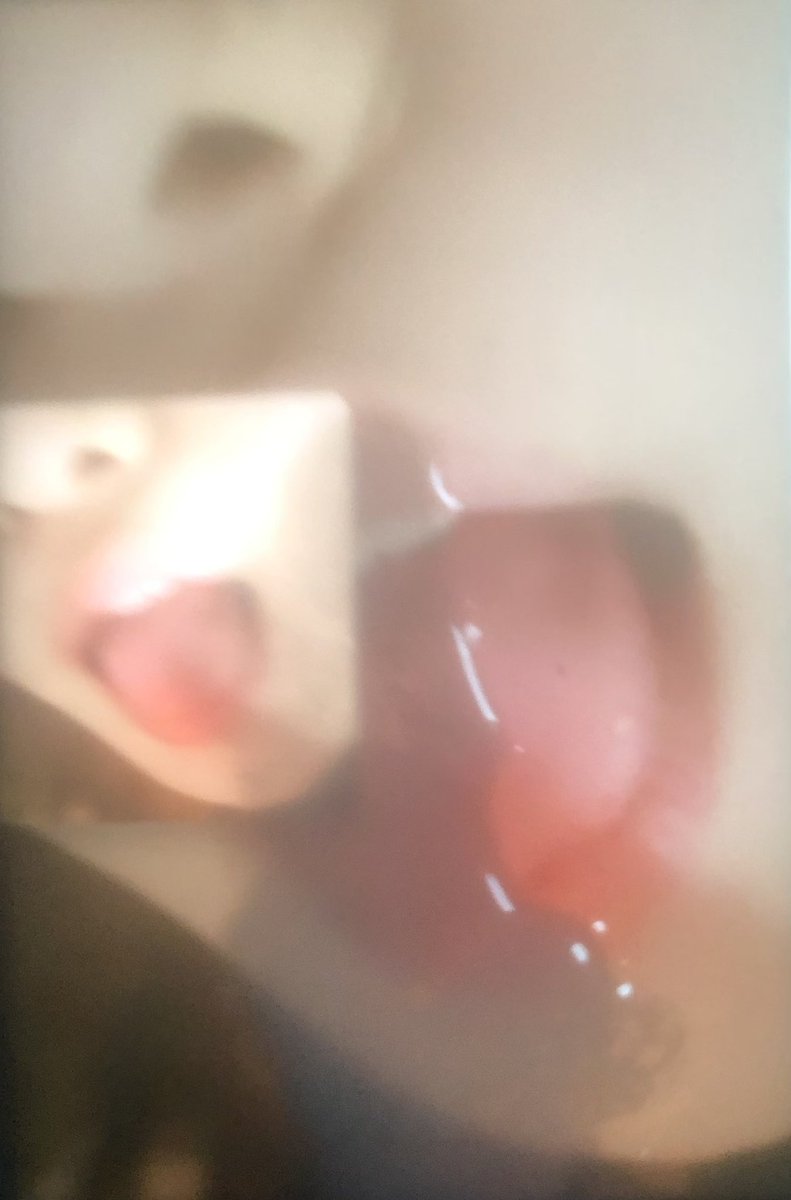 #反差 #聊天 #女大