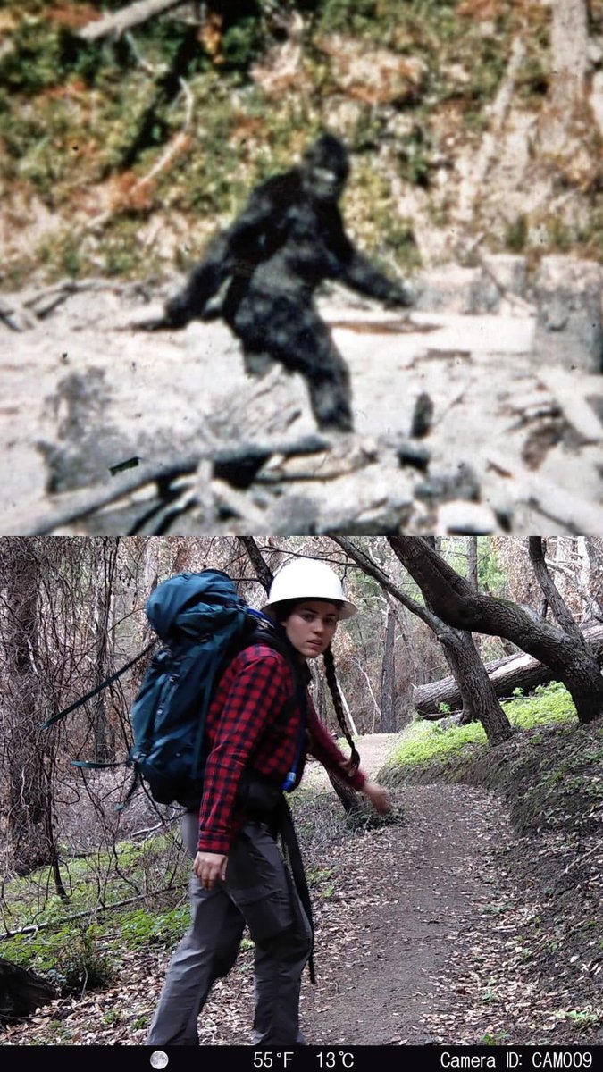 kristydoerr's tweet photo. Me doing fieldwork or Bigfoot? https://t.co/H50KgWCldG