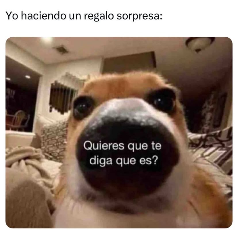 Lidela33's tweet photo. No me escondo https://t.co/OJuVF8dO0Y