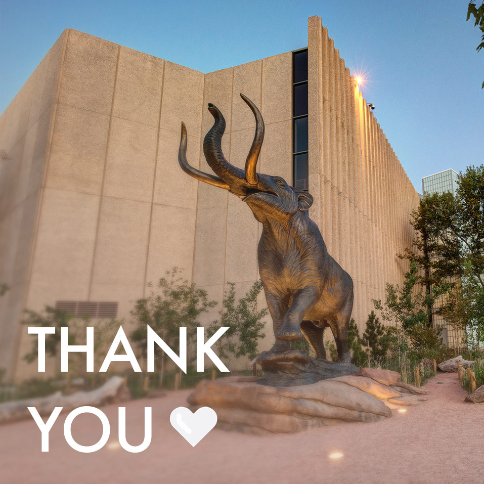 THANK YOU for your support on #ColoradoGivesDay, and every day! Your generosity helps fuel our work across the Museum. We are so grateful. 💙

Missed the day of giving? No problem! You can still give the gift of discovery and donate to our annual fund: bit.ly/4fcO47O