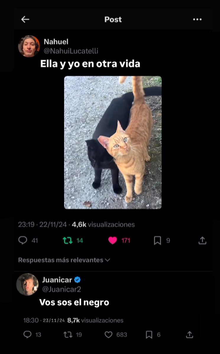 🧉. (@shitpostnahui) on Twitter photo 