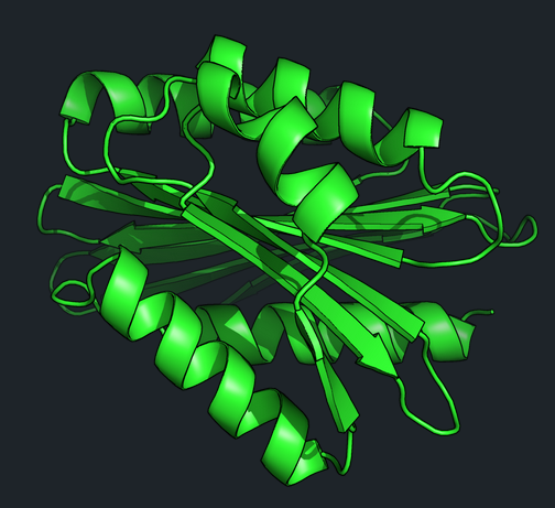 Emin Bursa tweet media