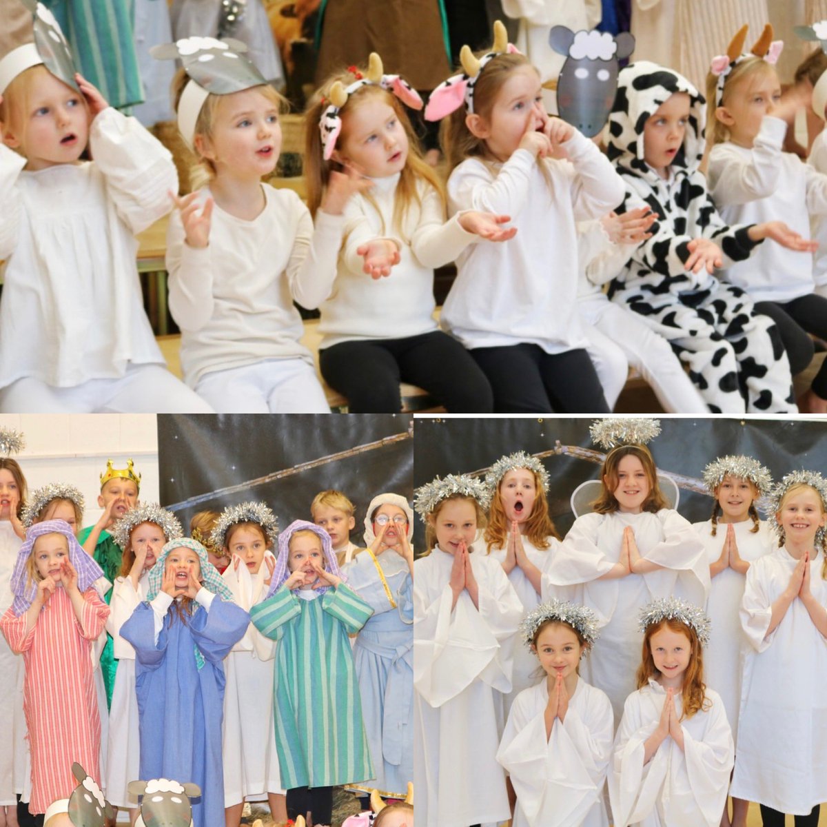 St Patrick's CE Primary School tweet media