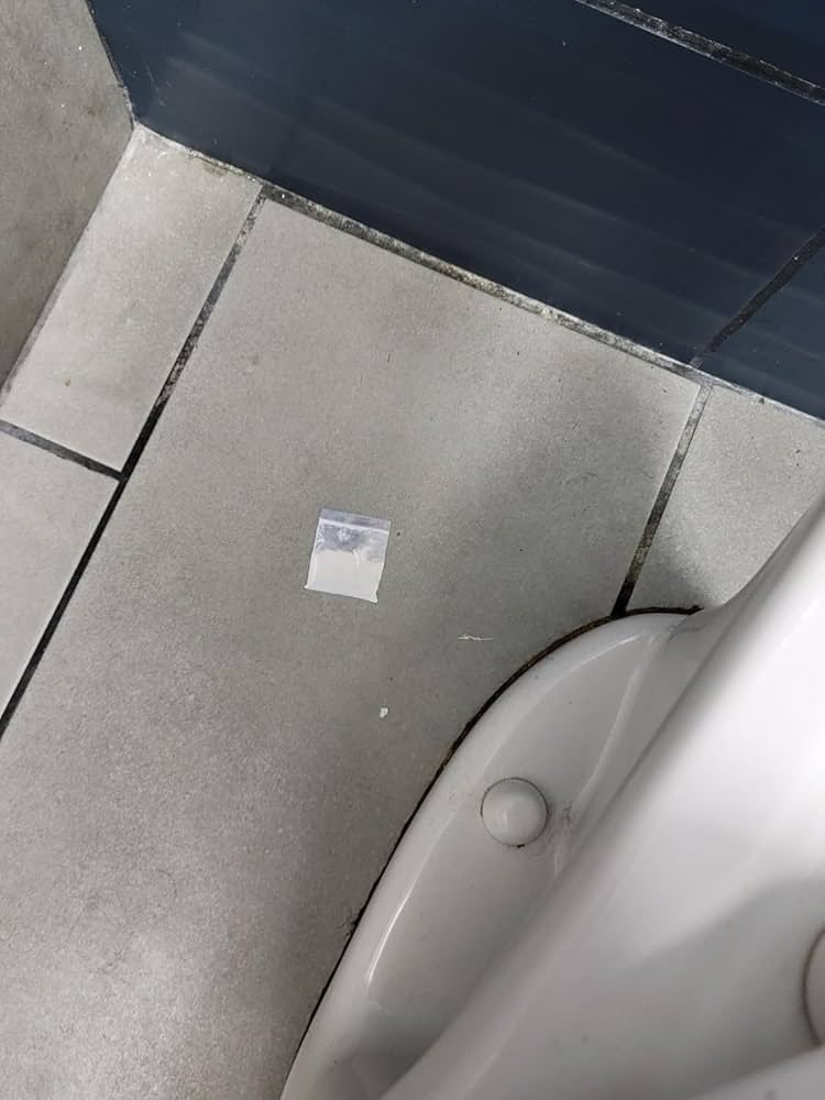 PhD Chad tweet media