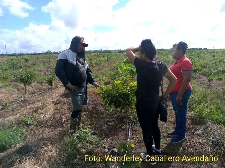 AmppCiego46923's tweet photo. #cavsomospoderpopular La presidenta de la Asamblea Municipal del Poder Popular de #CiegodeAvila acompañada por los presidentes profesionales de la Comisiones, evalúan los resultados de programas importante para el territorio entre ellos el acuícola, cafetalero y el energético. https://t.co/rHG3f4KEWa