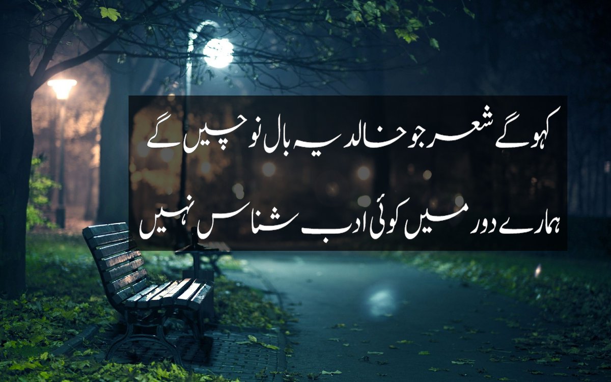 Khalid Shaikh tweet media