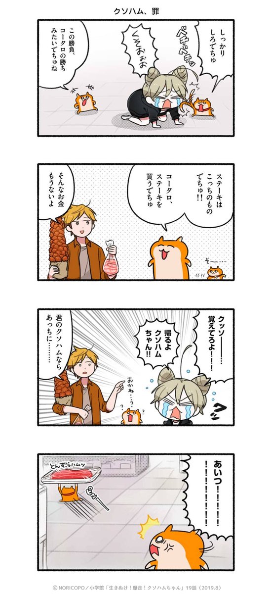 第19話「スーパーハムバトル」3/3 