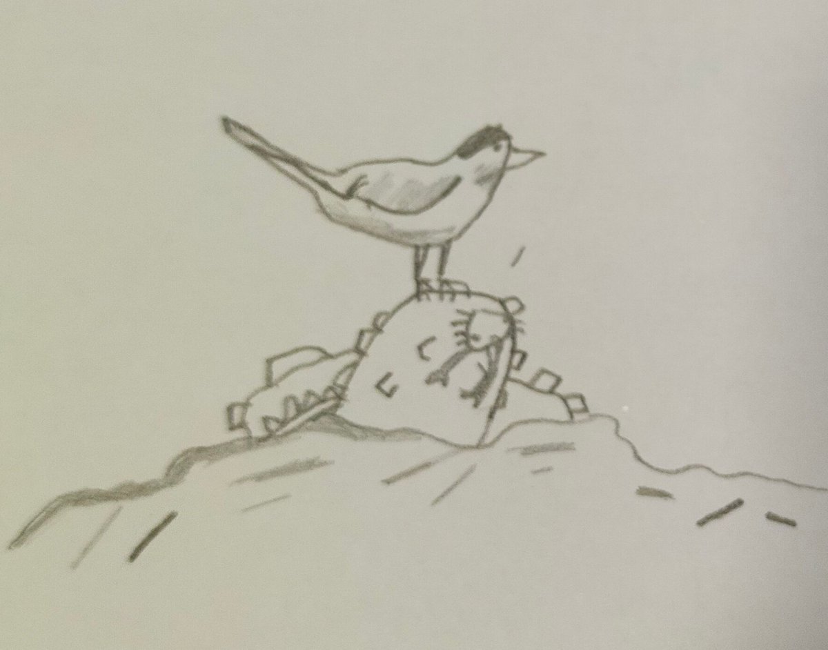 GCPYEAR4's tweet photo. After today's @_Reading_Rocks_ advent calendar, the children followed the instructions to draw an Arctic Tern @PrimaryGreat #gcpreading https://t.co/fexnZozt2I