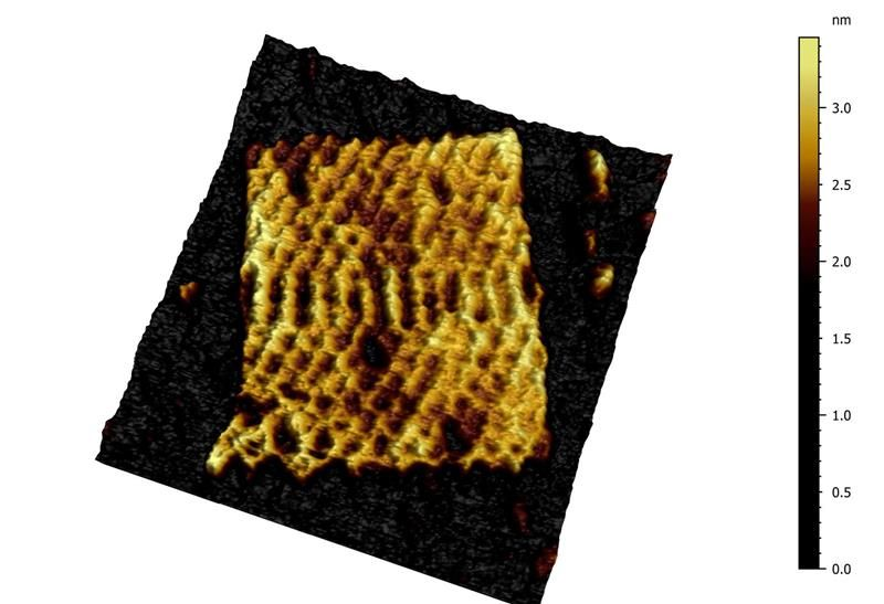 NanosurfAFM's tweet photo. Check out this nice GATTA-AFM nanorulers imaged on DriveAFM in WaveMode in liquid environment, and learn in our appnote more about #Wavemode, and how #CleanDrive can help you when imaging in liquids. #OrigamiDNA
https://t.co/N6k325r4yG https://t.co/EA6UNaTbrH