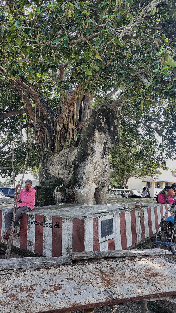 muthu_tara's tweet photo. Sri Pachaiyamman Thunai
#taraclicks #temple #oneplus11R #phonephotography #photography https://t.co/JoWTCebD83