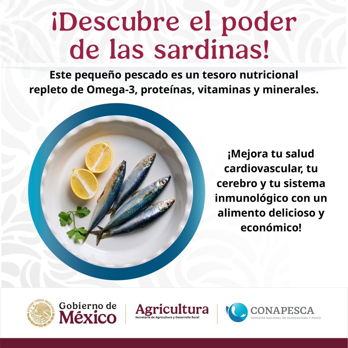 Conapesca's tweet photo. Al consumir sardina ayudas a tu cuerpo a sentirse y estar mejor, además de ser una opción bastante económica y accesible, su valor nutricional la convertirá en tu mejor aliada al incluirla en tu dieta.

#Sardina #ComidaSana #Nutrición #Bienestar https://t.co/Kua1mmAp4g