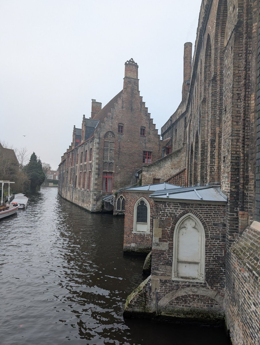 Waingels MFL Dept tweet media