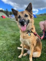 Kafi.sol (Redemption Arc) tweet media