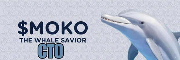 Moko CTO tweet media