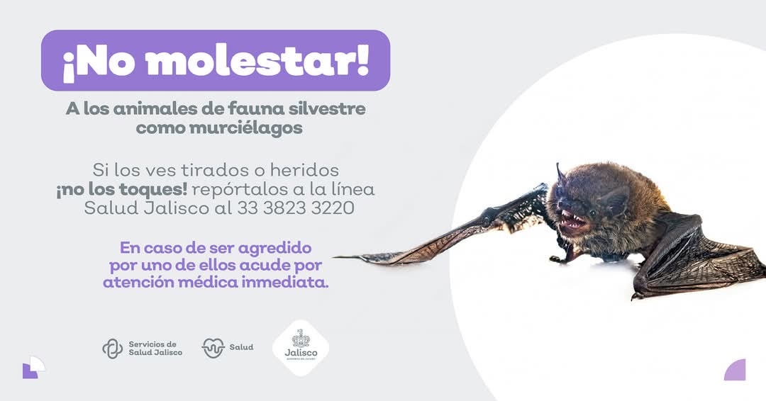 Vladimir Arriaga tweet media