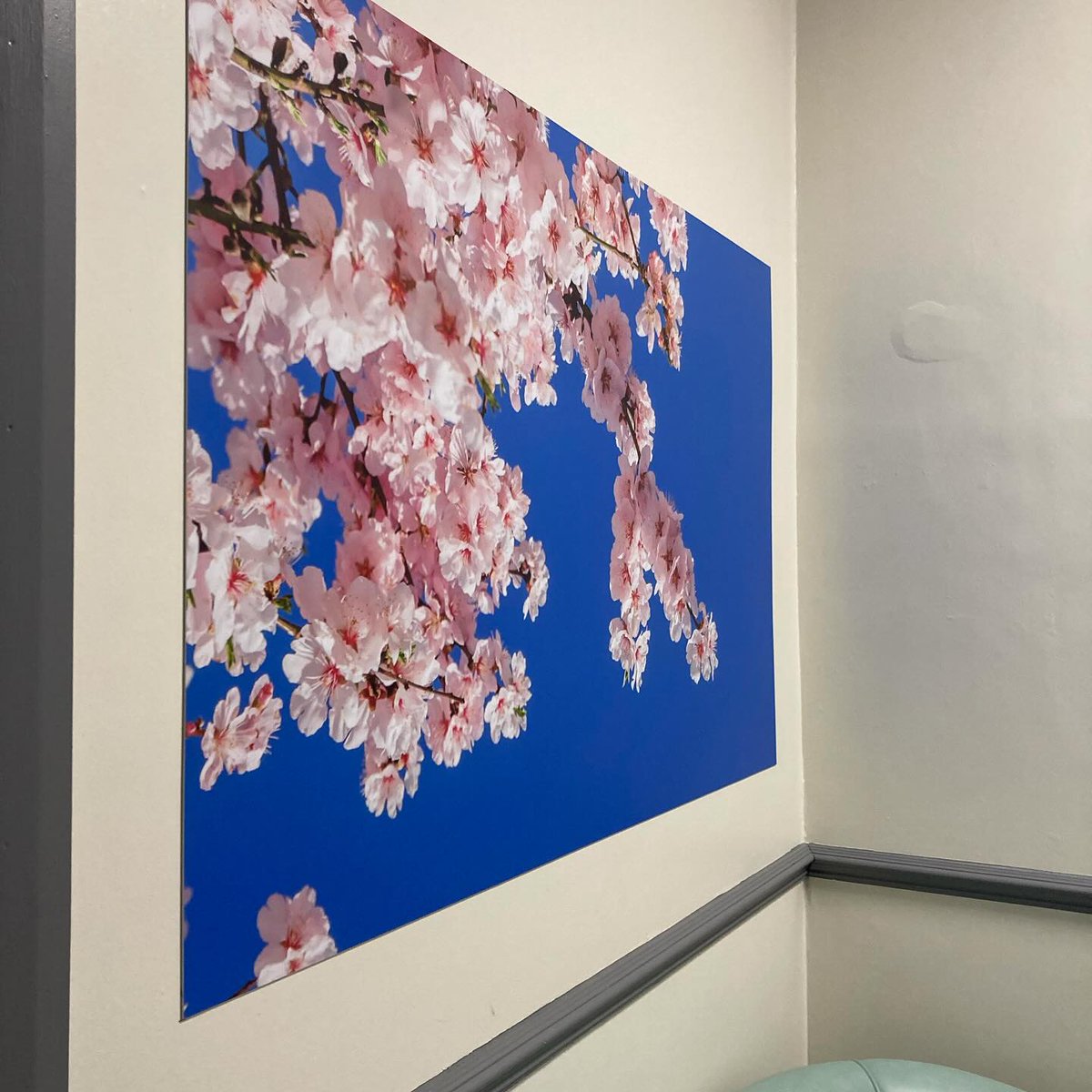 ArtsSth's tweet photo. Happy to see some out of season blooms installed at Royal Hallamshire Hospital Mortuary recently. @SHCFundraising @SheffieldHosp #enhancingenvironments https://t.co/4t9xFTmebU