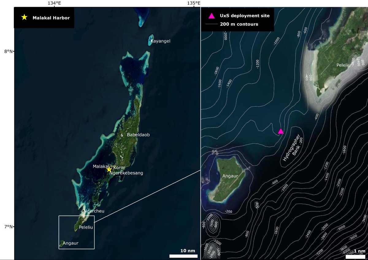 EVNautilus's tweet photo. One of our important study sites during the NA169 expedition is called the #GermanChannel (#Sngeloki): a passage intersecting #Palau’s #barrierreef that facilitates water exchange between lagoon and ocean, creating dynamic interactions between inshore and offshore environments. https://t.co/QBuenz3MsI