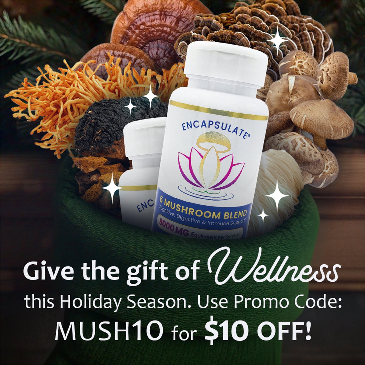 ENCAPSULATEUSA's tweet photo. Give the Gift of Wellness this Holiday Season
Use Promo Code MUSH10 for $10 OFF
https://t.co/bWupOflp56
#EncapsulateUSA
#SixMushroomBlend
#6MushroomBlend
#MushroomSupplement
#MushroomBlend
#OrganicMushrooms
#FunctionalMushrooms
#HealthSupplement
#BestMushroomSupplements https://t.co/y1k1zEgoDb