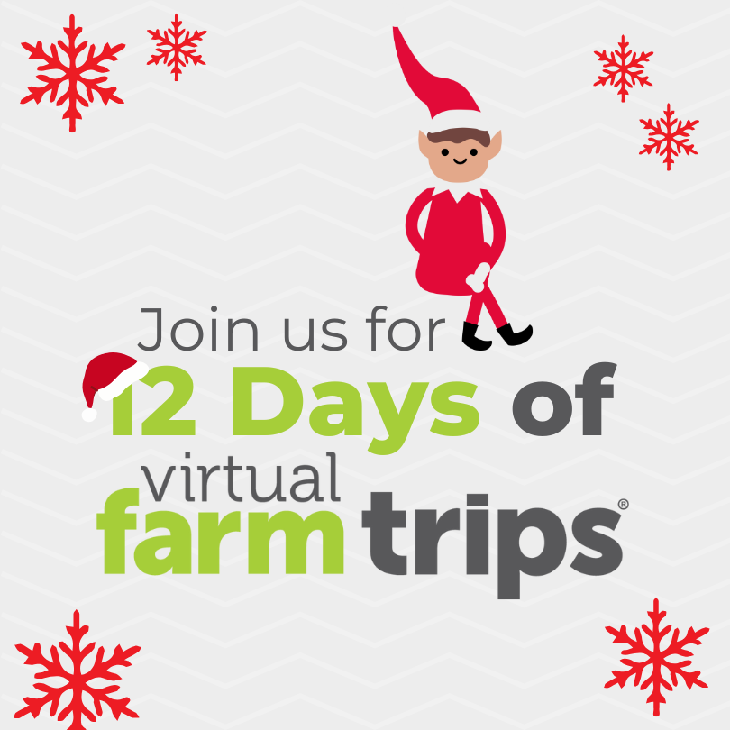 🎄12 Days of Virtual Farm Trips 🎄
Join us as we count down to the holiday season starting tomorrow through Christmas Eve celebrating 12 Virtual Farm Trips in 2024! These virtual trips transported students to farms across the country, providing live experiences with farmers.