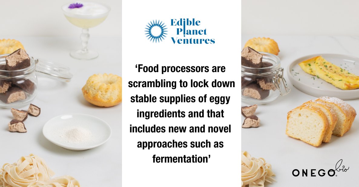 Onego Bio (@onego_bio) on Twitter photo The functionalities of egg protein makes it an essential food ingredient for various food products. #Bioalbumen® is a versatile and scalable protein, delivering a gold-standard nutritional profile with delicious taste and texture.
<a href="/EdiblePlanet1/">Edible Planet Ventures</a> article: edibleplanetventures.com/post/why-the-e… The functionalities of egg protein makes it an essential food ingredient for various food products. #Bioalbumen® is a versatile and scalable protein, delivering a gold-standard nutritional profile with delicious taste and texture.
<a href="/EdiblePlanet1/">Edible Planet Ventures</a> article: edibleplanetventures.com/post/why-the-e…