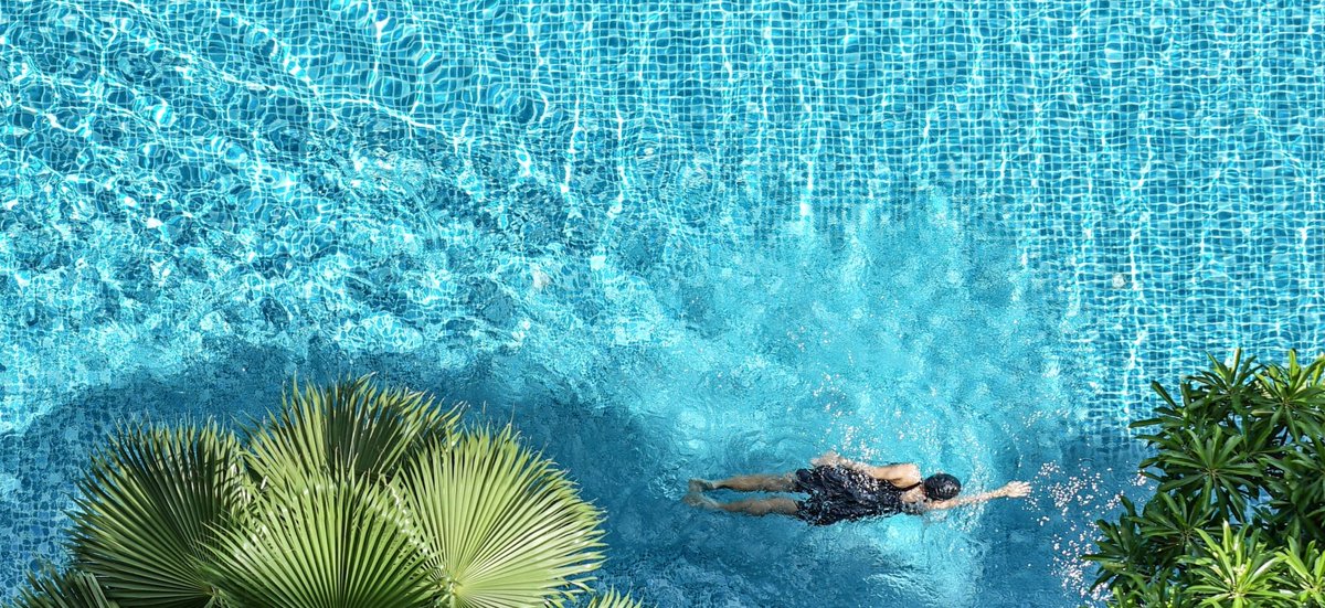 🌵🌲🌴¿Te has preguntado alguna vez qué tipo de plantas deberias incluir en los alrededores de una piscina? ¿Cualquier tipo sirve o hay que elegir alguna especie concreta? 💥 ¡Te lo contamos en este post!  ▶ s.mtrbio.com/ylqeyuxapt
#Paisajismo #Piscinas #Ecología #Arquitectura