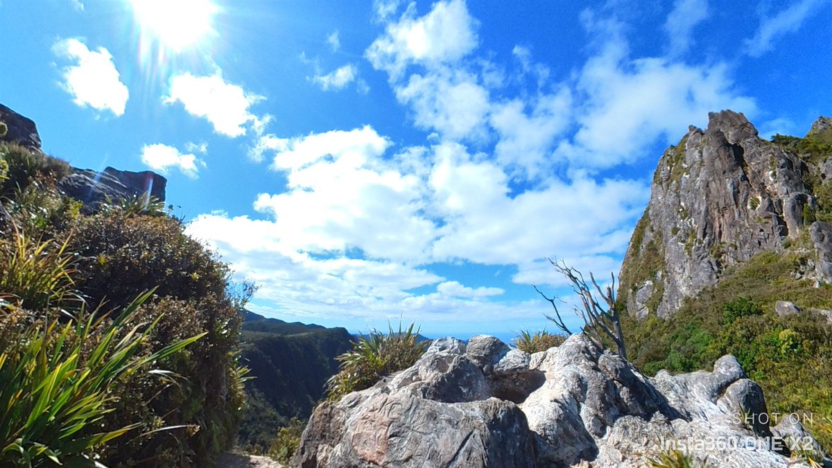 VisualExcursion's tweet photo. Coromandel Forest Park
New Zealand
Camera: Insta360 One X2
#newzealand #worldtraveler #nature #explorenewzealand #naturefix https://t.co/vOujPqnV8k