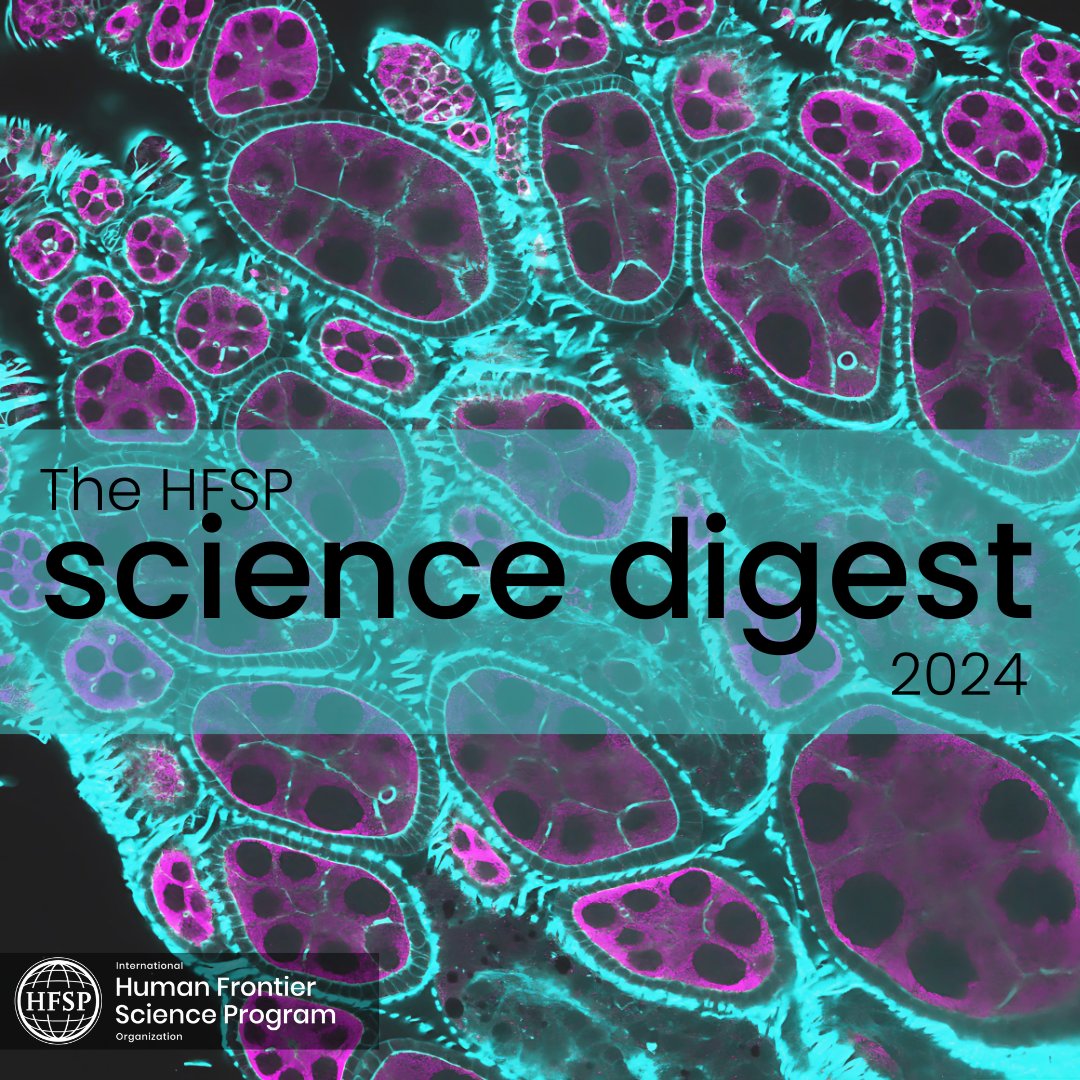 🚨 HFSP Science Digest 2023 is out!
🔬Breakthrough life science research
🌍43 projects, 55 scientists, 26 countries
🧬A focus on synthetic biology &amp; the origin of life 
Explore how HFSP is advancing life’s frontiers:
👉bit.ly/3Dg6GGM
#LifeSciences #HFSP #ScienceDigest