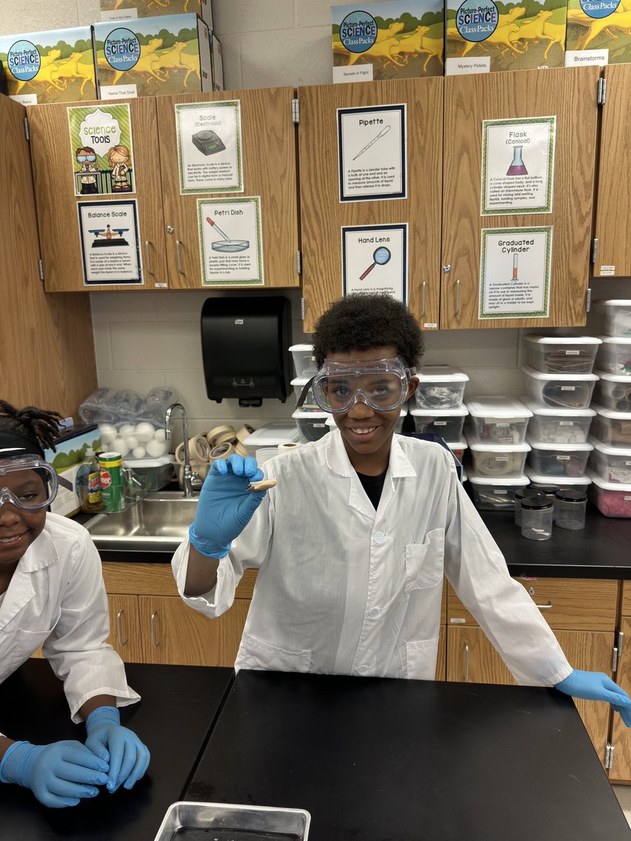 BoydSTEAMLab's tweet photo. 4th grade cow eye dissection @APS_WMBoyd @MsBlairAPS @AP_Fagan @STEAMingCooper https://t.co/mJcWKkfuBQ