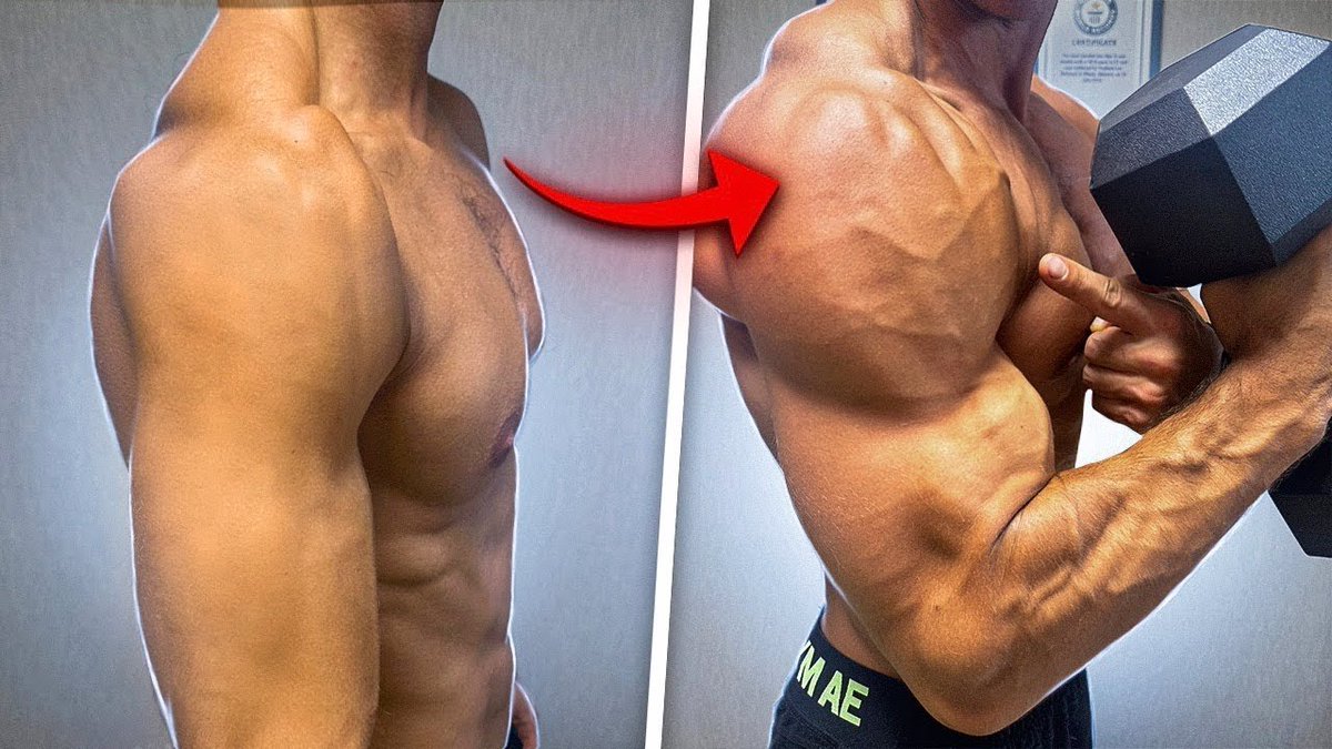 EnergyUp_'s tweet photo. 5 Shoulder Workouts for Building Boulder 3D Shoulders: https://t.co/q8IBkuJRFc