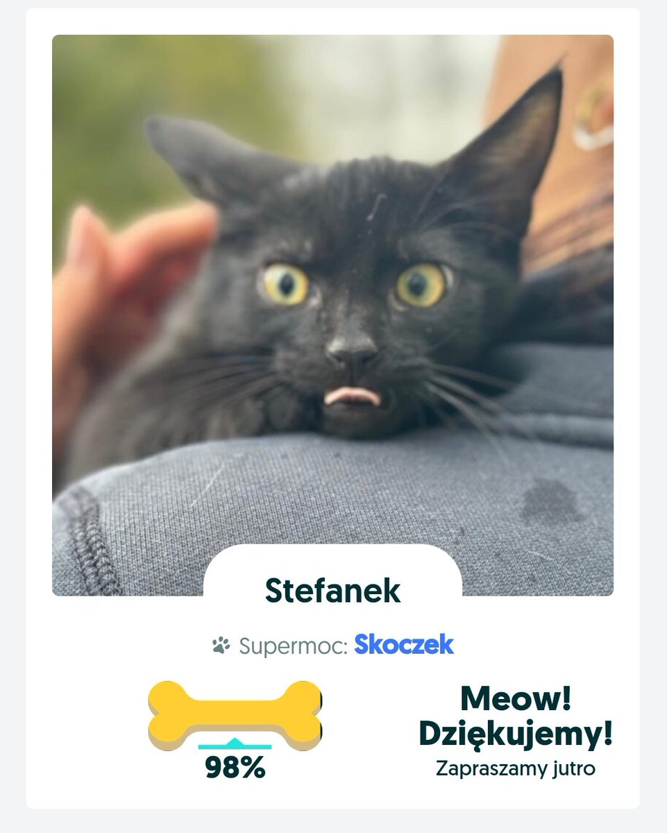 Stefanek 

Akcja kończy się za 3dni a jest 6 stron 🙃