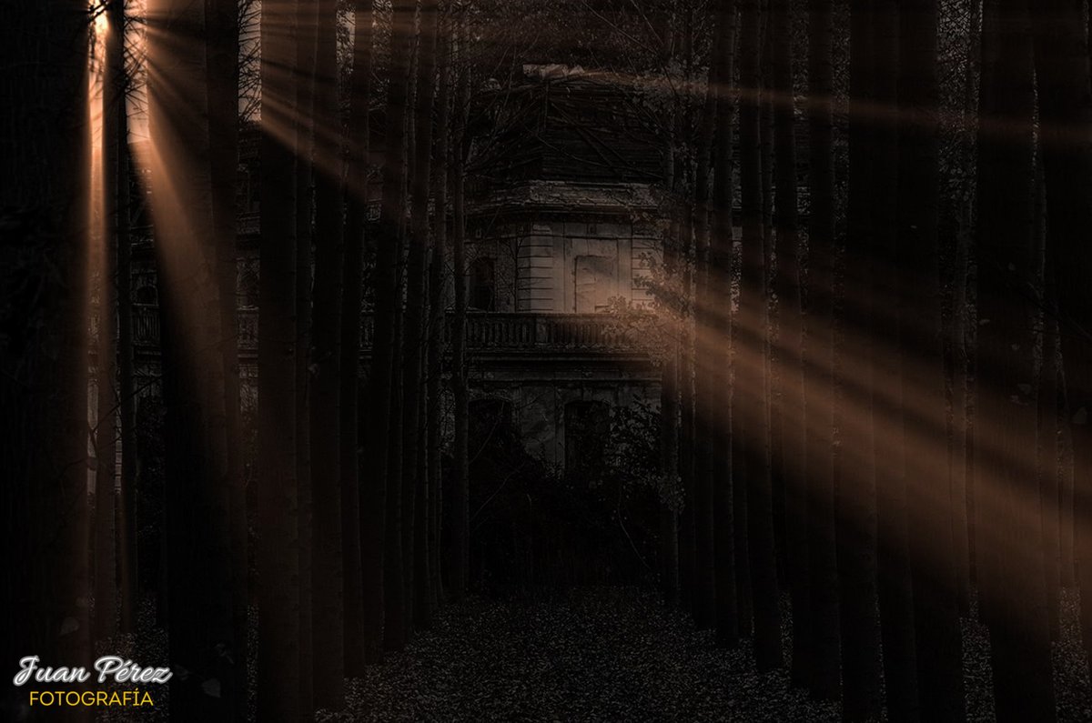 Palacio de los Gosálvez.
Los ecos de la historia resuenan en cada pasillo.