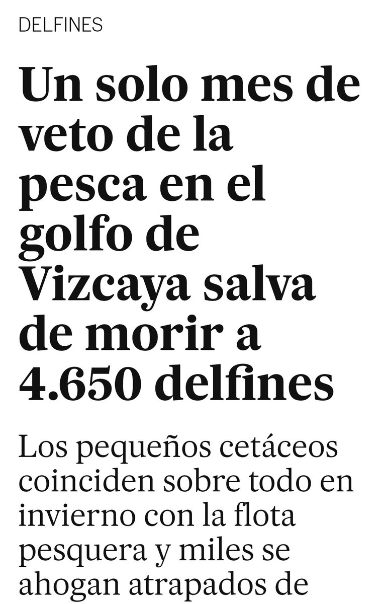 Palomas_Alejand's tweet photo. Nada que añadir. https://t.co/bDJ6HnC3Uc