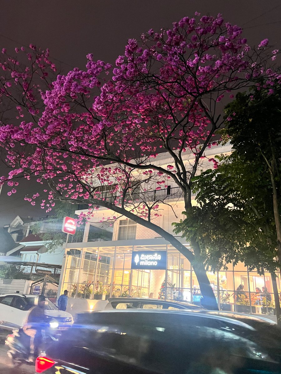 Somewhere in Koramangala 😍