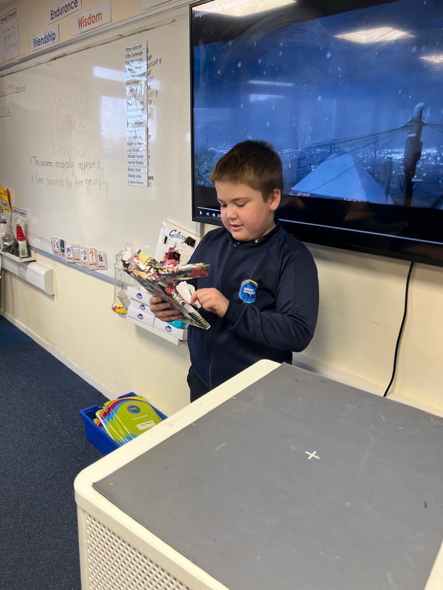 Shoreside Year 4 tweet media