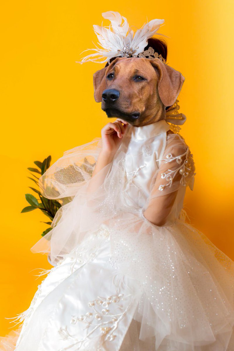 True Beauty.

Set on an Orange canvas. 

The • Ticker • Is • $ELSA