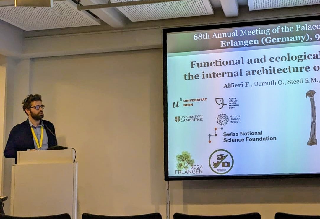 Fabio Alfieri (@fabalfieri_) on Twitter photo It was great presenting in Erlangen at #PalAss24. I talked about first results from my <a href="/snsf_ch/">Swiss National Science Foundation</a> postdoc on bird wing bone structure, hopefully published soon. Stay tuned 😉 @grumpyDrFabre <a href="/fieldpalaeo/">Field Palaeobiology Research Group</a> <a href="/OliverDemuth/">Dr. Oliver Demuth</a> <a href="/LizzySteell/">Lizzy Steell</a> It was great presenting in Erlangen at #PalAss24. I talked about first results from my <a href="/snsf_ch/">Swiss National Science Foundation</a> postdoc on bird wing bone structure, hopefully published soon. Stay tuned 😉 @grumpyDrFabre <a href="/fieldpalaeo/">Field Palaeobiology Research Group</a> <a href="/OliverDemuth/">Dr. Oliver Demuth</a> <a href="/LizzySteell/">Lizzy Steell</a>