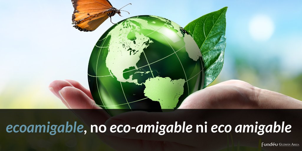 Fundéu Guzmán Ariza tweet media