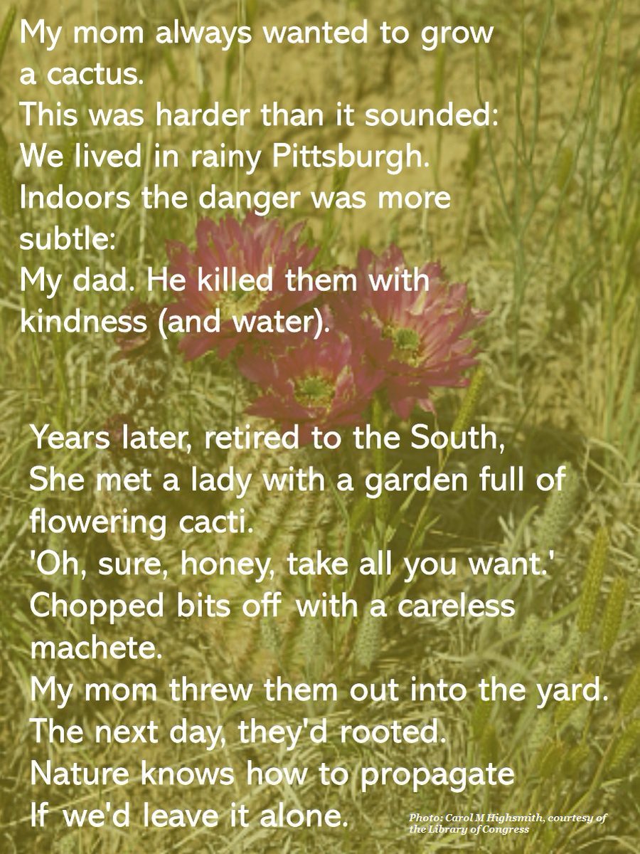 d_gheorgheni's tweet image. #vss365 #propagate